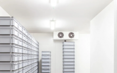 破解热带水果保鲜难题！广东先进制冷香蕉冷链